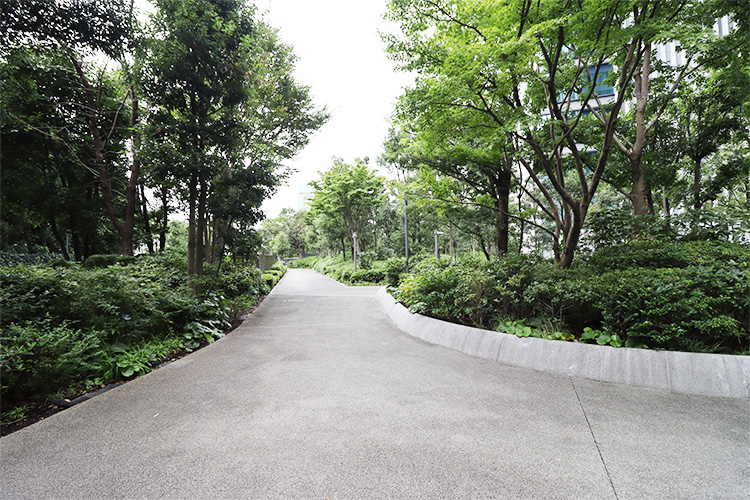 スカイフォレストレジデンスのエントランス周辺